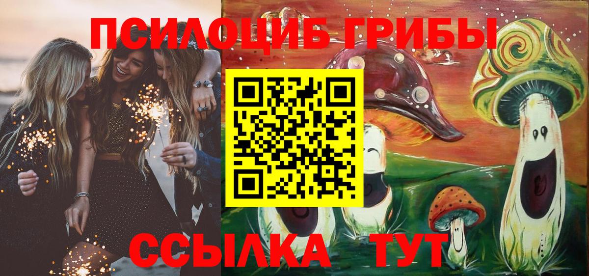 Ленинск-Кузнецкий  Галлюциногенные грибы MAGIC MUSHROOMS  Вход с VPN  Галлюциногенные грибы Cubensis 