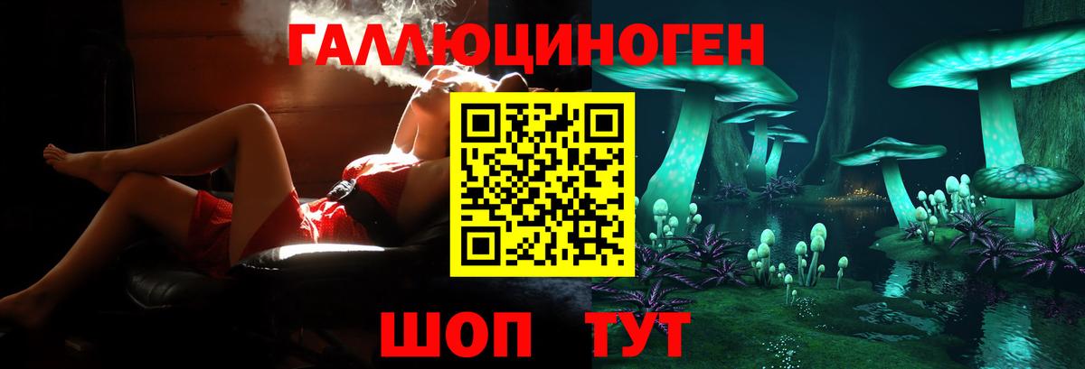 Галлюциногенные грибы прущие грибы Ленинск-Кузнецкий